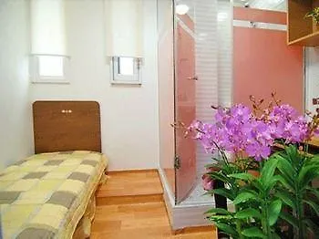 Elm Tree Guest House Myeongdong Seoul