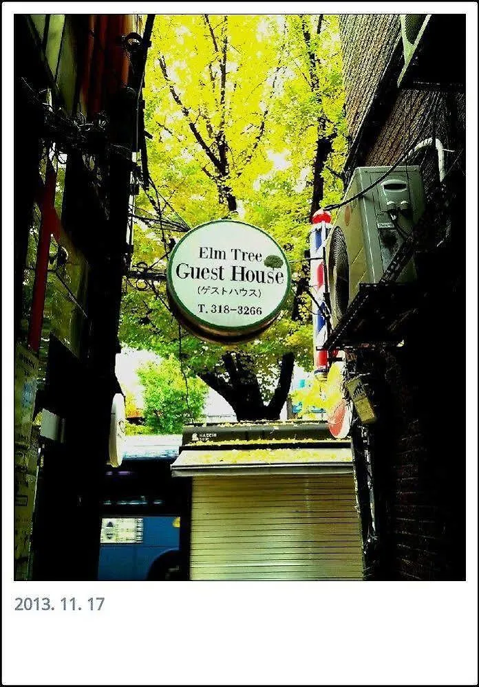 Elm Tree Guest House Myeongdong Seoul Hotel