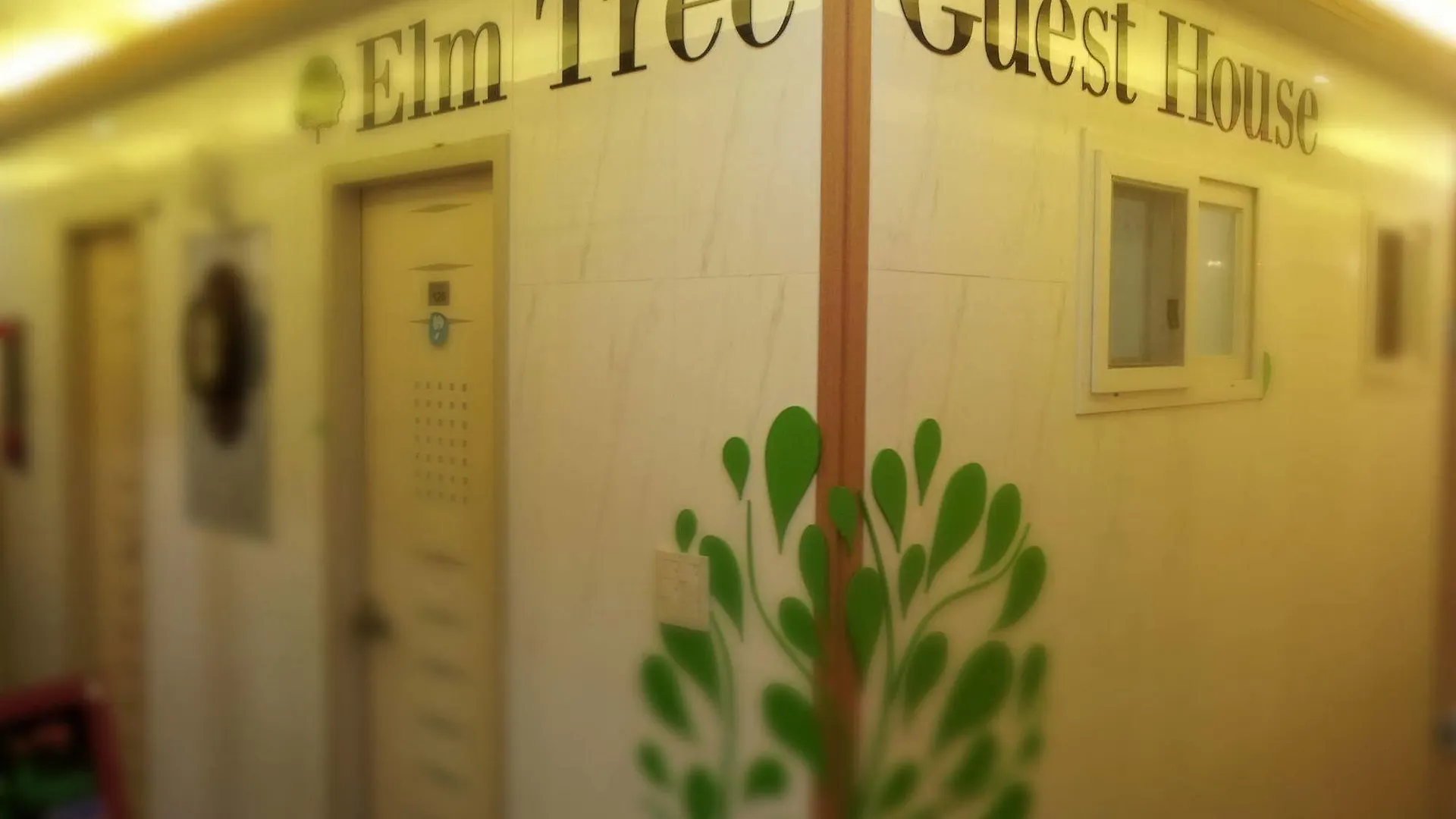 Elm Tree Guest House Myeongdong location